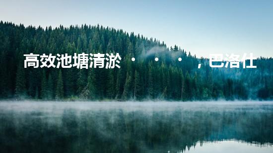 高效池塘清淤，巴洛仕設(shè)備助您一臂之力